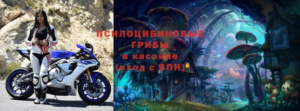соль ск Зеленодольск