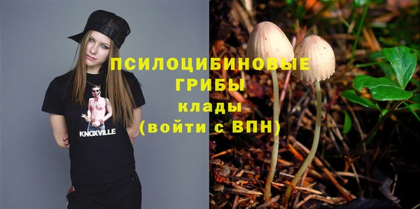 соль ск Зеленодольск