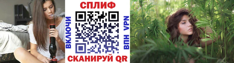 KRAKEN ССЫЛКА  Пущино  Канабис гибрид 